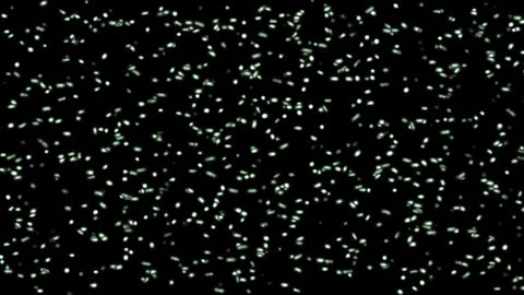Microscopic bacteria and viruses 3D rendering, movement of green articles on a Stock-Illustration