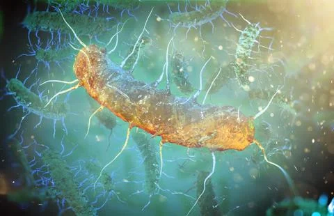 Microscopic bacteria on blue background, 3d illustration Illustrazione stock