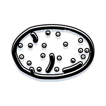 Microscopic bacteria cell multiplying under magnification Stock Illustration