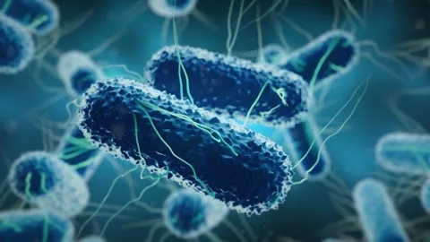 Microscopic Bacteria Cells Floating in 3D Medical Animation Stock Footage 346414314