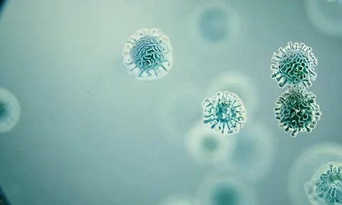 Microscopic Bacteria Colony Division 4K Vídeo Stock 347105439