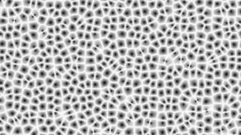 Microscopic Bacteria Field Cellular Texture Loop Stock Footage 342344707