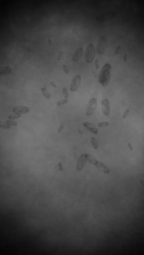 Microscopic bacteria floating in a petri dish Stock Footage 342279805