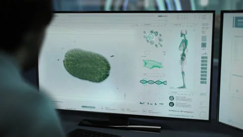 Microscopic Bacteria Microorganism Analy... | Stock Video | Pond5