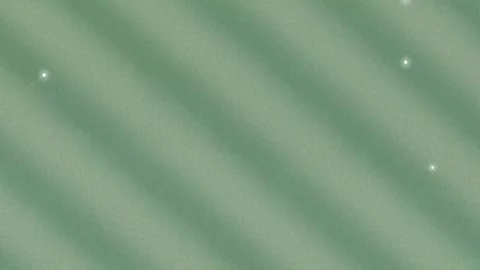 Microscopic Bio Lattice Cellular Growth Network Видео 340378618