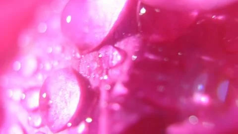 Microscopic Blood Cell Clusters Fotos de archivo
