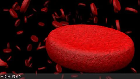 Microscopic Blood Cells 3D Model