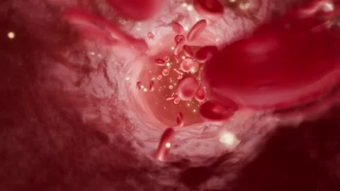 Microscopic blood flows through the blood vessels. Stock Footage 337875524