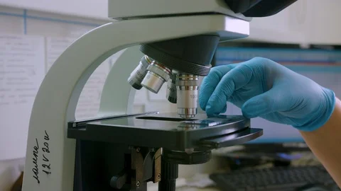 Microscopic blood test in a laboratory Stock Footage 112216703