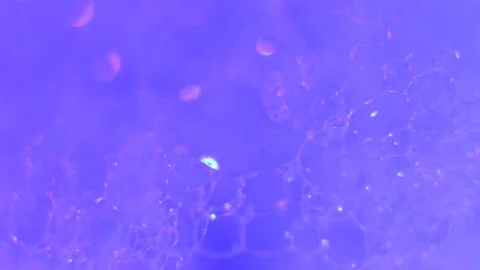 Microscopic Blood Vessel Network 스톡 동영상 338233562