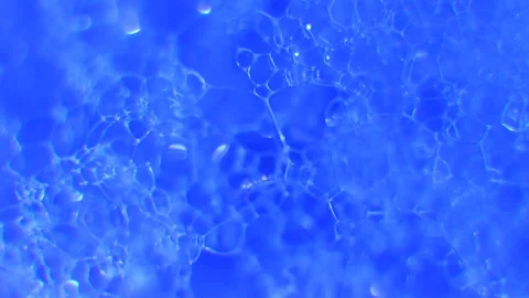 Microscopic Blue Cell Clusters Stock Footage 338233563