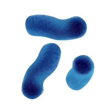 Microscopic Blue Vegetative Cell Bacterias Vector Stock Illustration