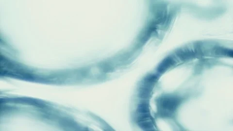Microscopic bubbles - organic liquid abstract background Stock Footage 112583383