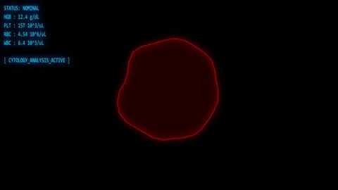 Microscopic cell activity visualized Stock Footage 337506266