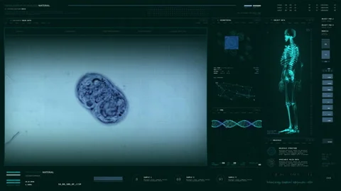 Microscopic Cell Mitosis Process In Micr... | Stock Video | Pond5
