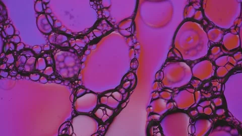 Microscopic Cell Structure in Purple and Pink Lighting Stock-Footage 336722541