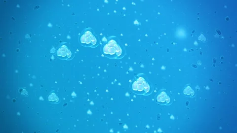 Microscopic Cells Floating Inside the Human Body Stock Footage 338437093
