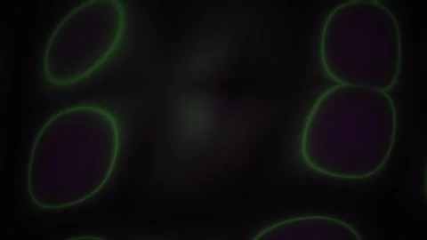 Microscopic cells glowing green on black background. Stock Footage 337515399