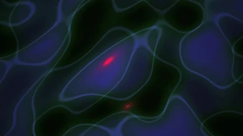 Microscopic cells in a laboratory setting. Stock Footage 340035285