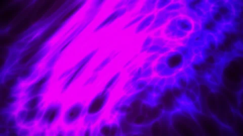 Microscopic cells in laboratory setting. Stock Footage 340035393