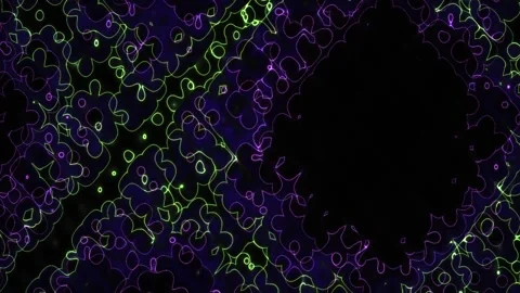 Microscopic cells in a laboratory setting with purple and green fluorescence. Stock Footage 335962726