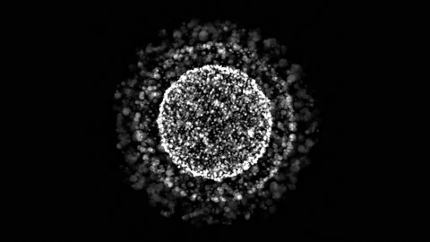 Microscopic Cells Organism Stock Footage 168160889