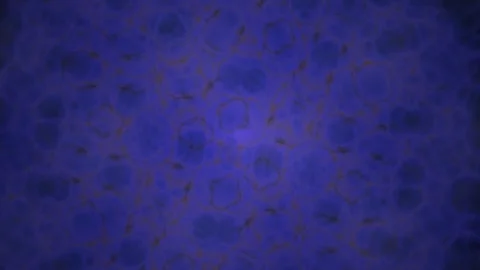 Microscopic cells in a petri dish under a microscope. 스톡 동영상 335962746
