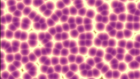 Microscopic cells pulsating with light in a warm organic pattern during a s.. Stock Footage 341543881