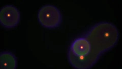 Microscopic Cells Under Fluorescence Light. Stock Footage 334887420