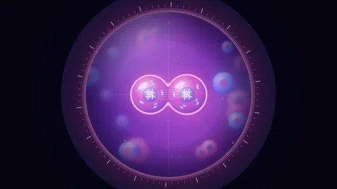 Microscopic Cellular Division Process Animation 库存影片 347897706