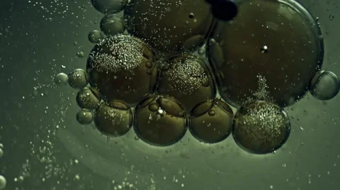 Microscopic cellular life - UHD 4k Stock Footage 45768137