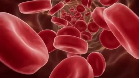 A microscopic, close-up 3D visualization of numerous red blood Stock Footage 344944047