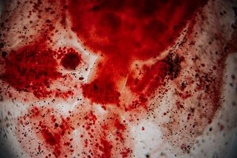 A microscopic close-up image of red-stained cartilage tissue showing. Stock Photos
