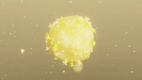 Microscopic display of the lymphocyte biological immune system Stock Footage 313815307