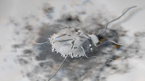 Microscopic effect cancer cell Vidéo 68981716