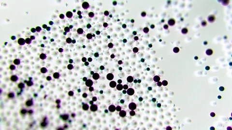 Microscopic elements crash together Stock Footage 81481761