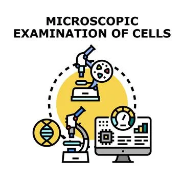 Microscopic examination of cells vector icon concept Stock Illustration