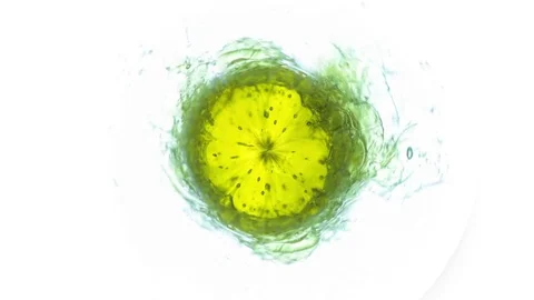 Microscopic Flu Virus Bacteria loop Stock Footage 77960497