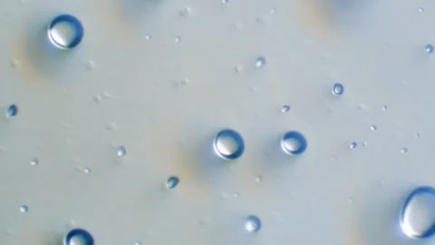 Microscopic Fluid Flow 02 Stock Footage 153451292