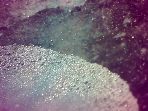 Microscopic fluid Stock Footage