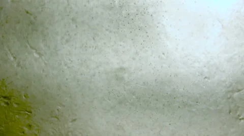 Microscopic Fluids Background Video stock 62793900