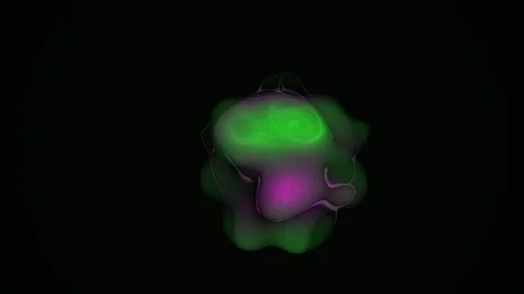 Microscopic fluorescent cell structures under microscope. Stock Footage 335370108