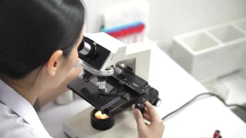 Microscopic focus on the herpes simplex virus, studied to understand its impact Stock Footage 336583479