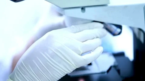 Microscopic focus on the herpes simplex virus, studied to understand its impact Stock Footage 336583570