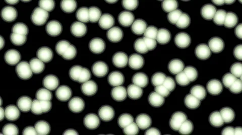 Microscopic 库存影片 147195