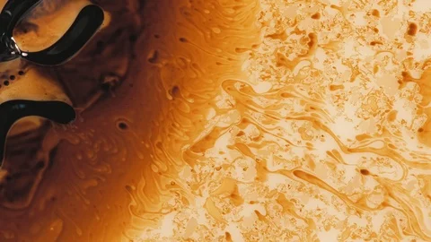 Microscopic footage with organisms and abstract shapes Stock Footage 88963219