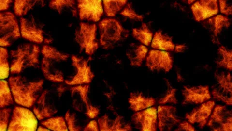 Microscopic Glowing Cells and Biological Tissue Background Vídeo Stock 340660224