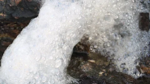 Microscopic gold speck found in sea foam 動画素材 331223974