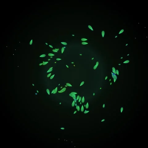 Microscopic Green and Blue Cells Glowing in Dark, Science and Biology Concept Stock Footage 346282856