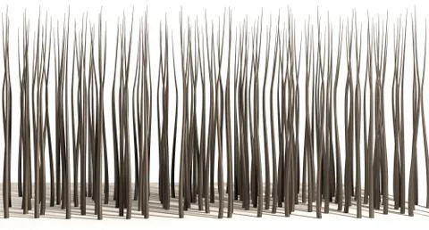 Microscopic hair roots Stock Illustration
